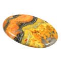 Bumble Bee Jasper